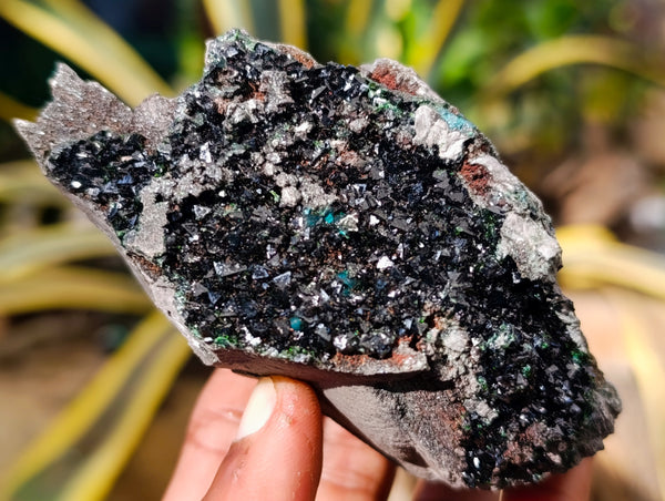 Natural Libethenite Crystals On Dolomite Matrix Specimens x 5 From Shituru, Congo