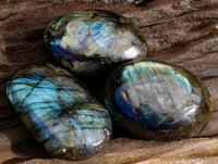 Polished Labradorite Palm Stones x 24 From Tulear, Madagascar - Toprock Gemstones and Minerals 