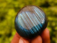 Polished Labradorite Palm Stones x 24 From Tulear, Madagascar - Toprock Gemstones and Minerals 
