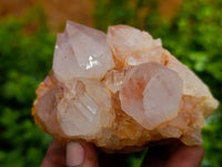 Natural Amethyst Spirit Quartz Clusters x 6 From Boekenhouthoek, South Africa - Toprock Gemstones and Minerals 