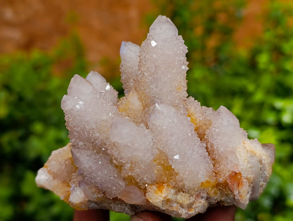 Natural Amethyst Spirit Quartz Clusters x 6 From Boekenhouthoek, South Africa - Toprock Gemstones and Minerals 
