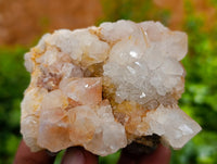 Natural Amethyst Spirit Quartz Clusters x 6 From Boekenhouthoek, South Africa - Toprock Gemstones and Minerals 