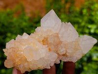 Natural Amethyst Spirit Quartz Clusters x 6 From Boekenhouthoek, South Africa - Toprock Gemstones and Minerals 