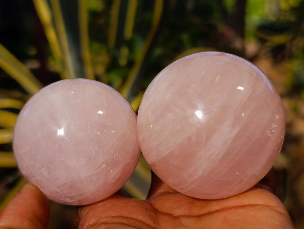 Polished Rose Quartz Spheres x 6 From Ambatondrazaka, Madagascar - Toprock Gemstones and Minerals 