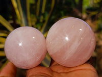 Polished Rose Quartz Spheres x 6 From Ambatondrazaka, Madagascar - Toprock Gemstones and Minerals 