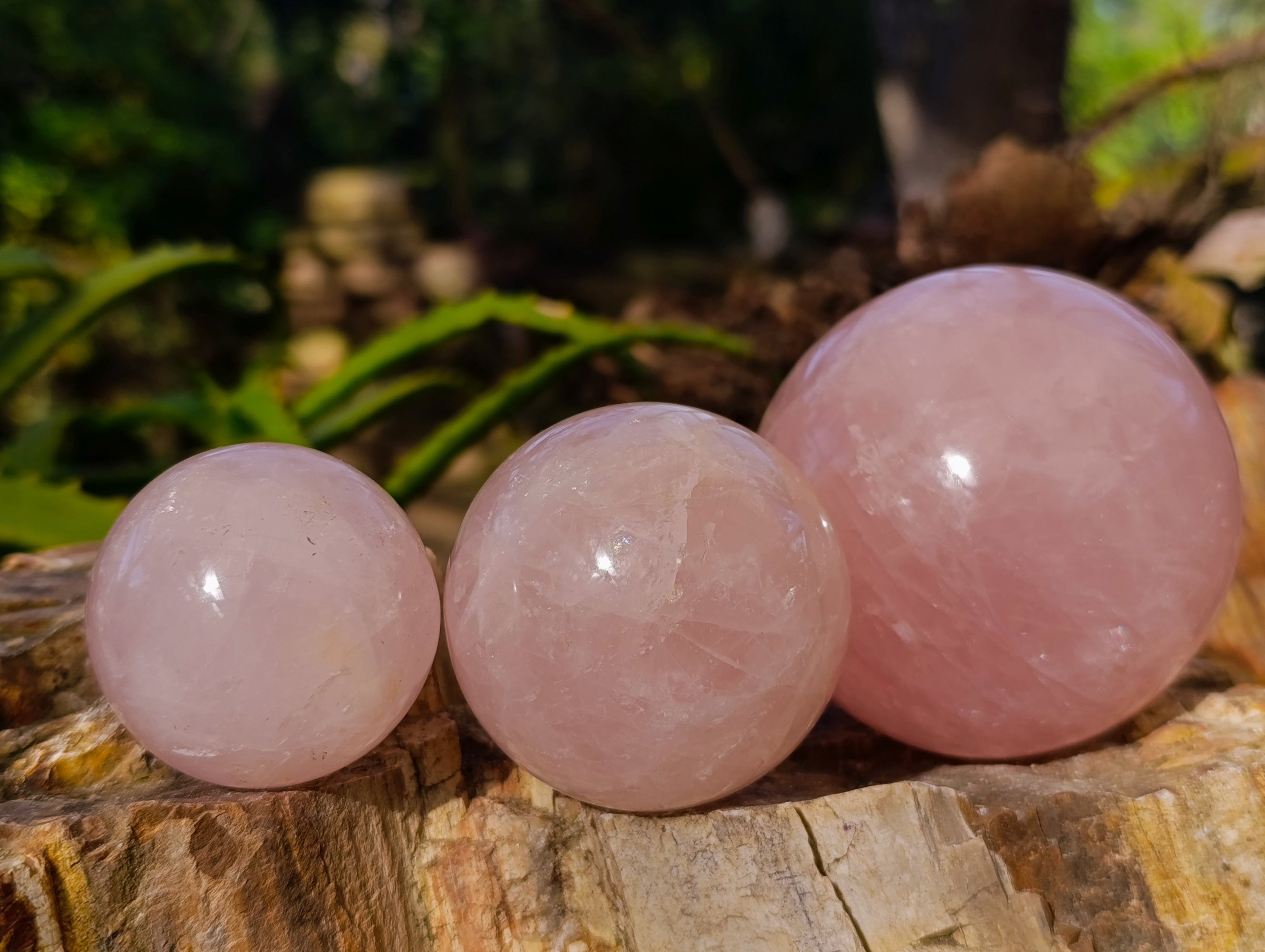 Polished Rose Quartz Spheres x 6 From Ambatondrazaka, Madagascar - Toprock Gemstones and Minerals 