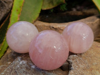 Polished Rose Quartz Spheres x 6 From Ambatondrazaka, Madagascar - Toprock Gemstones and Minerals 