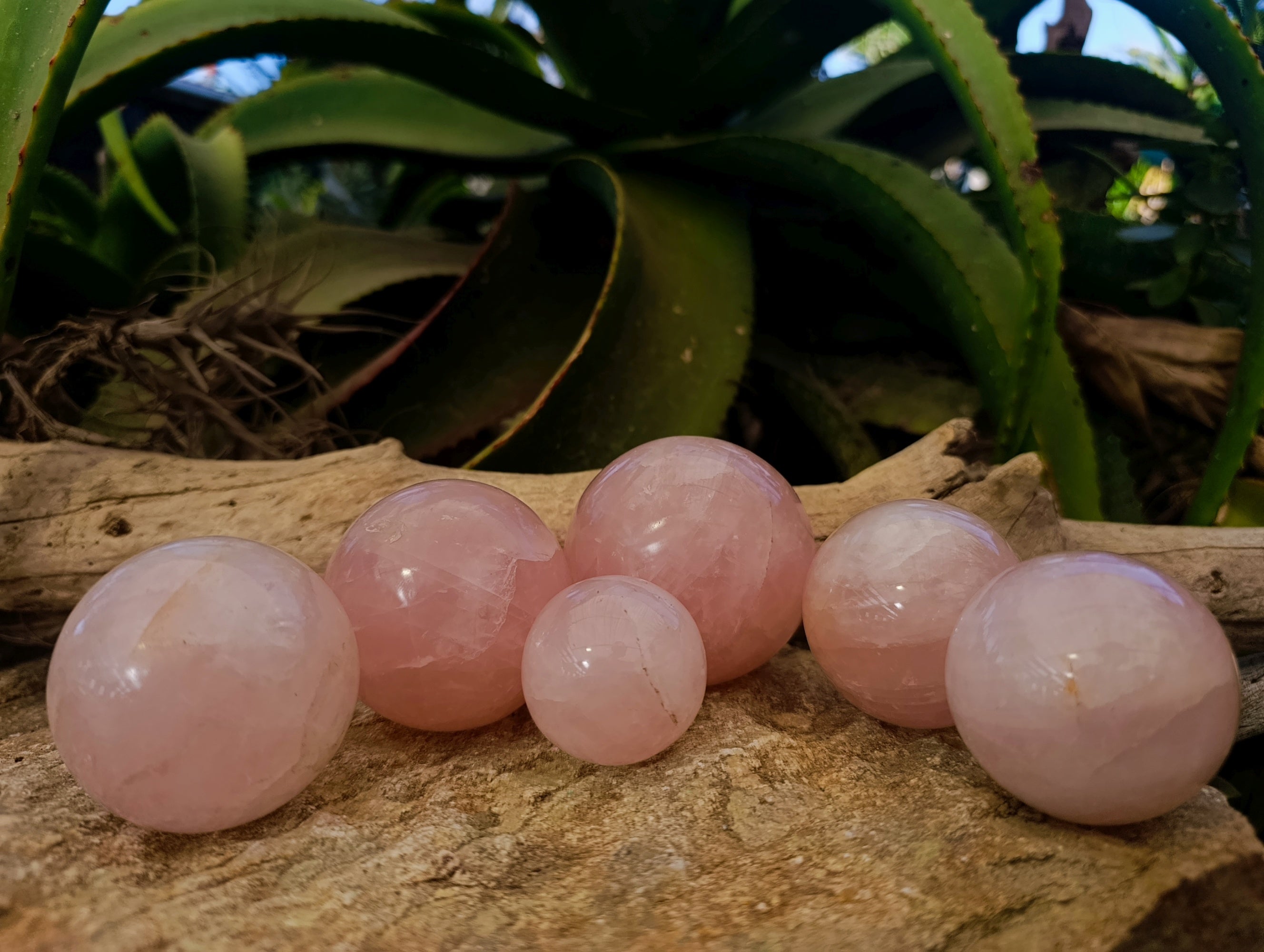 Polished Rose Quartz Spheres x 6 From Ambatondrazaka, Madagascar - Toprock Gemstones and Minerals 