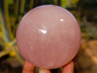 Polished Rose Quartz Spheres x 6 From Ambatondrazaka, Madagascar - Toprock Gemstones and Minerals 