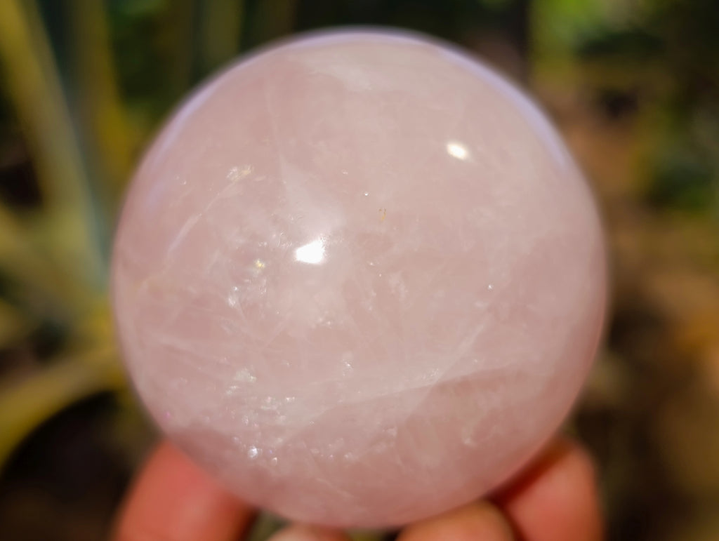 Polished Rose Quartz Spheres x 6 From Ambatondrazaka, Madagascar - Toprock Gemstones and Minerals 