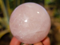 Polished Rose Quartz Spheres x 6 From Ambatondrazaka, Madagascar - Toprock Gemstones and Minerals 