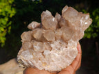 Natural Phantom Cascading Smokey Quartz Cluster x 1 From Luena, Congo - Toprock Gemstones and Minerals 