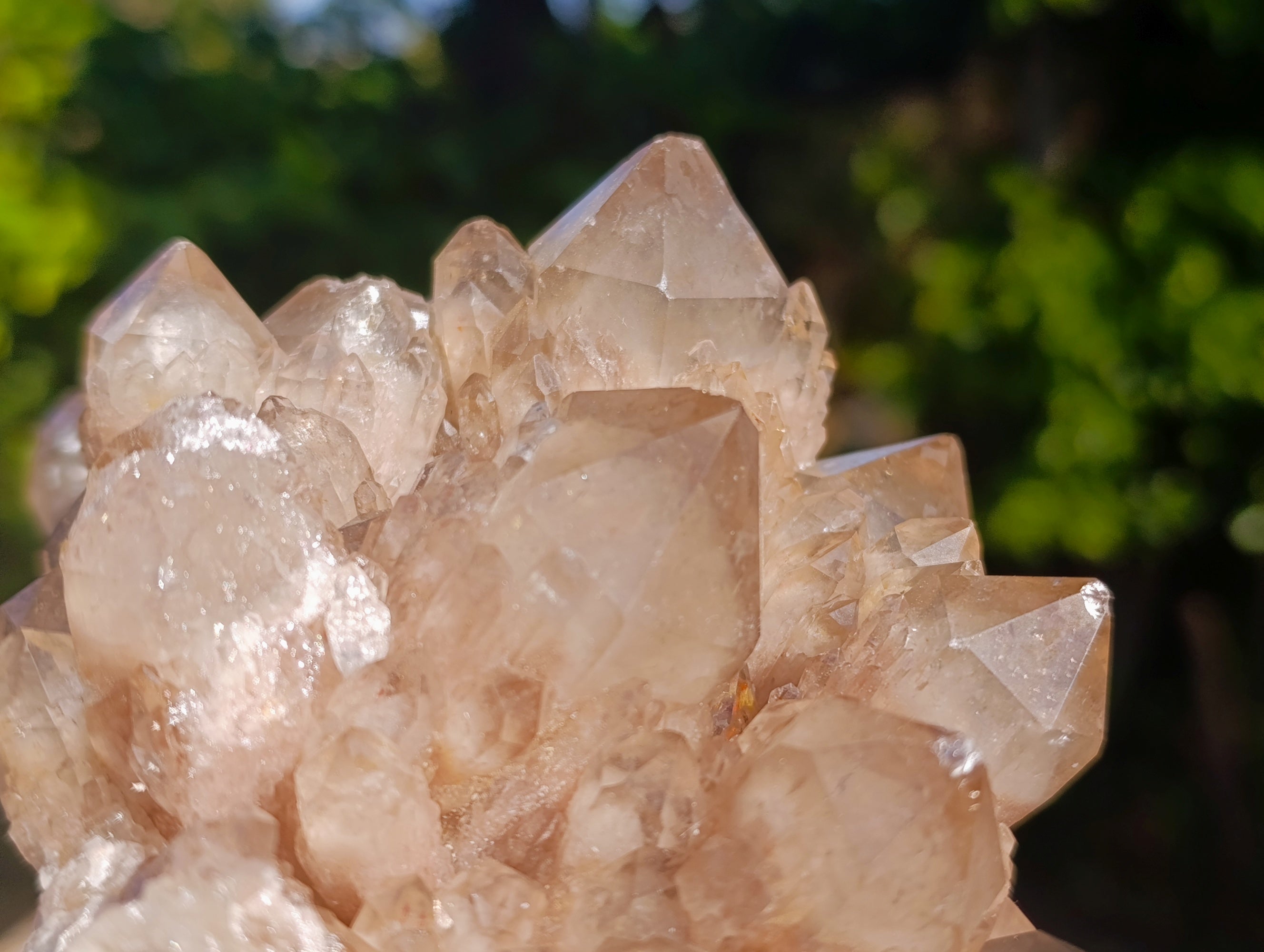 Natural Phantom Cascading Smokey Quartz Cluster x 1 From Luena, Congo - Toprock Gemstones and Minerals 
