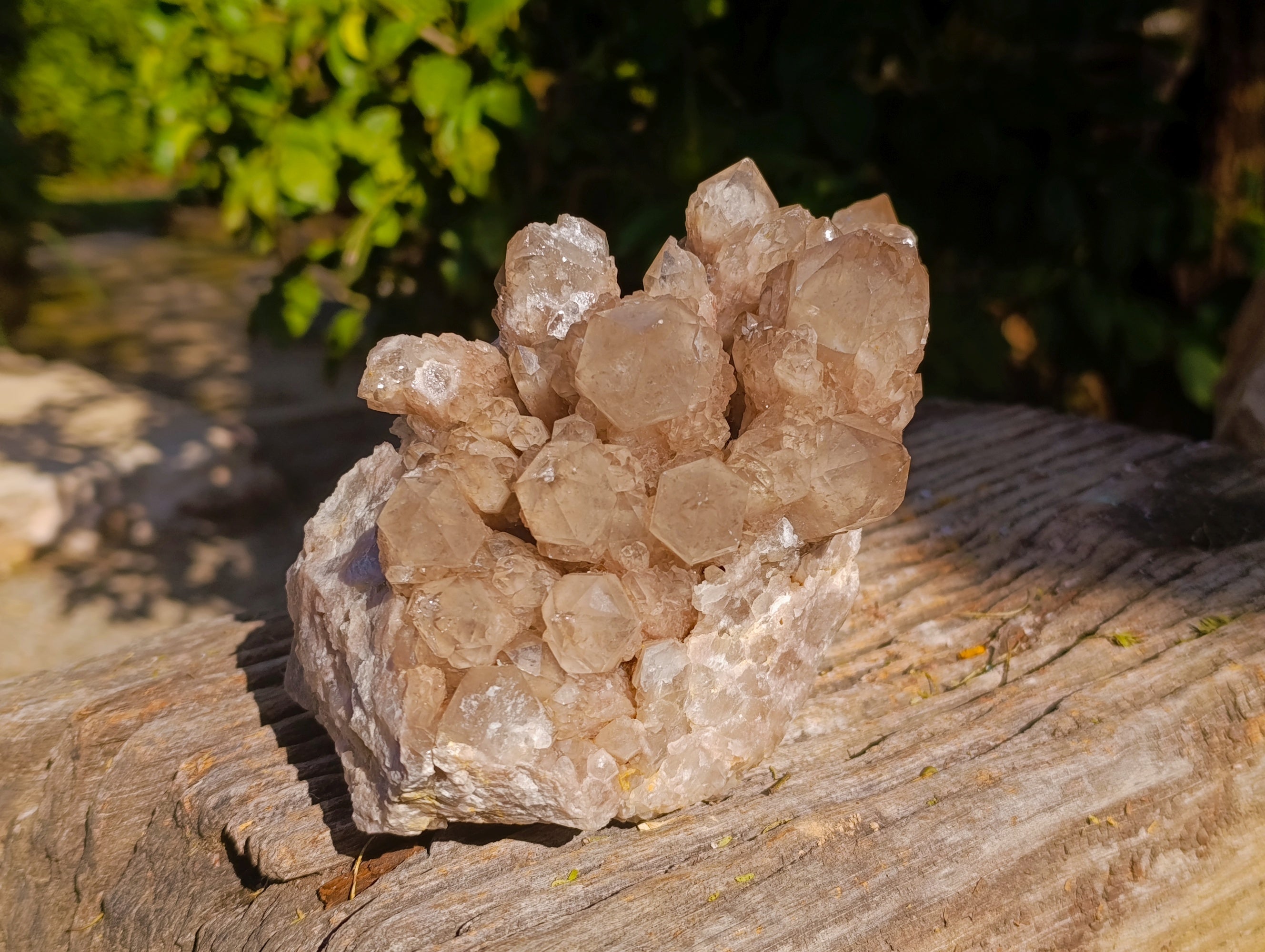 Natural Phantom Cascading Smokey Quartz Cluster x 1 From Luena, Congo - Toprock Gemstones and Minerals 