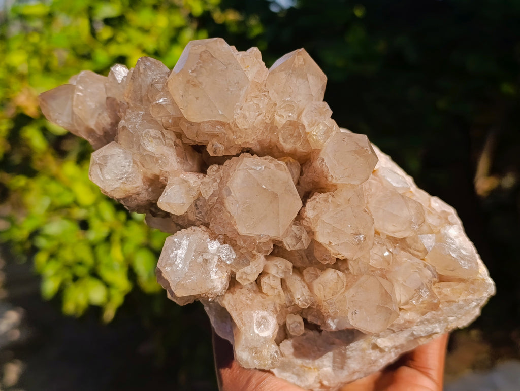 Natural Phantom Cascading Smokey Quartz Cluster x 1 From Luena, Congo - Toprock Gemstones and Minerals 