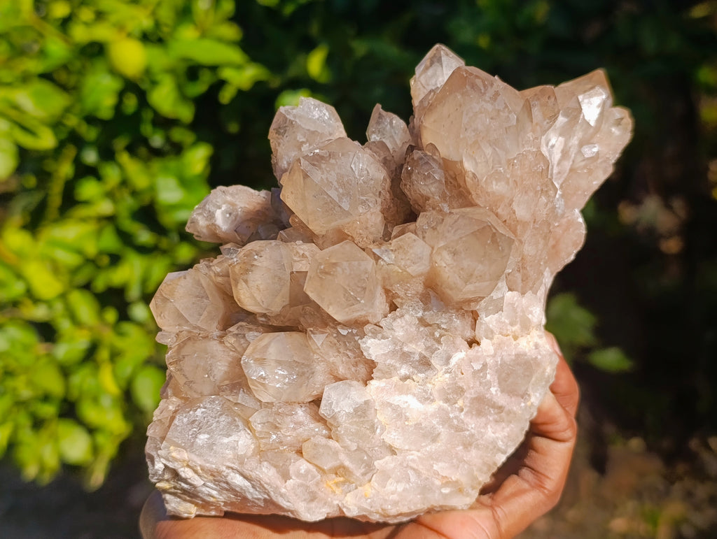 Natural Phantom Cascading Smokey Quartz Cluster x 1 From Luena, Congo - Toprock Gemstones and Minerals 