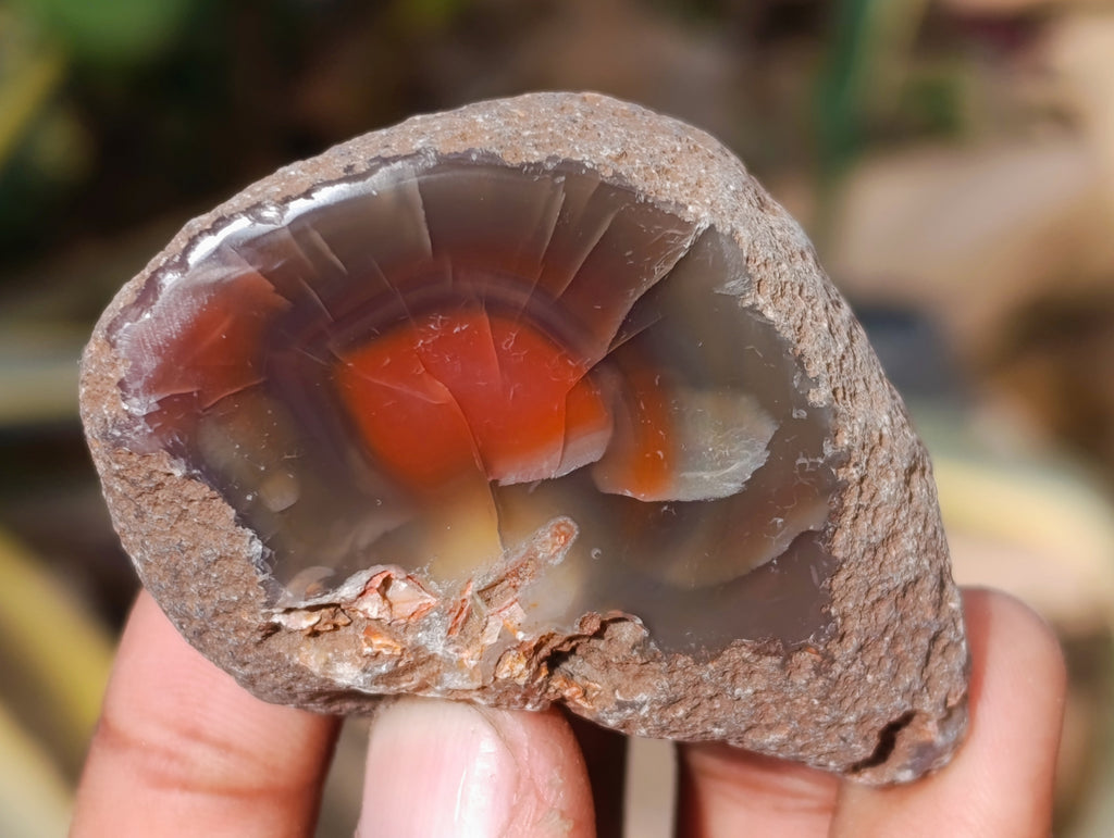 Polished On One Side Red Sashe River Agate Nodules x 20 From Zimbabwe - Toprock Gemstones and Minerals 