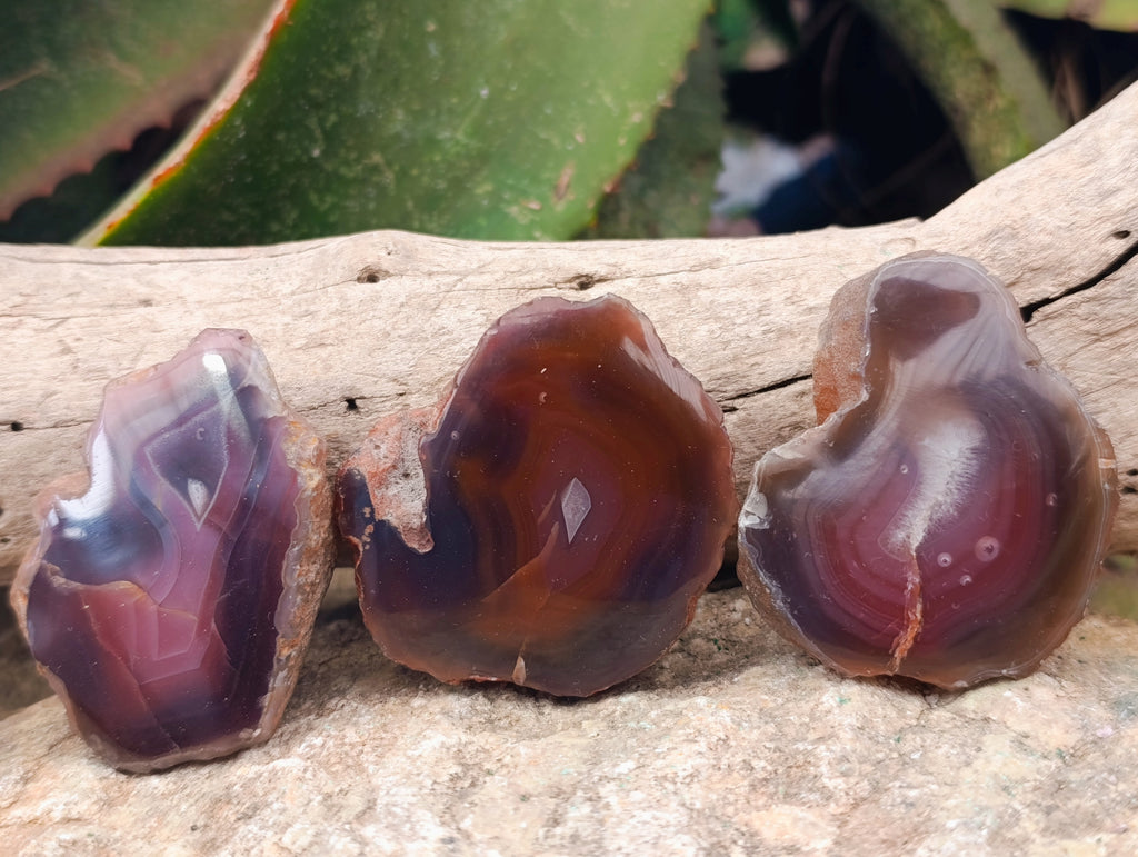 Polished On One Side Red Sashe River Agate Nodules x 20 From Zimbabwe - Toprock Gemstones and Minerals 