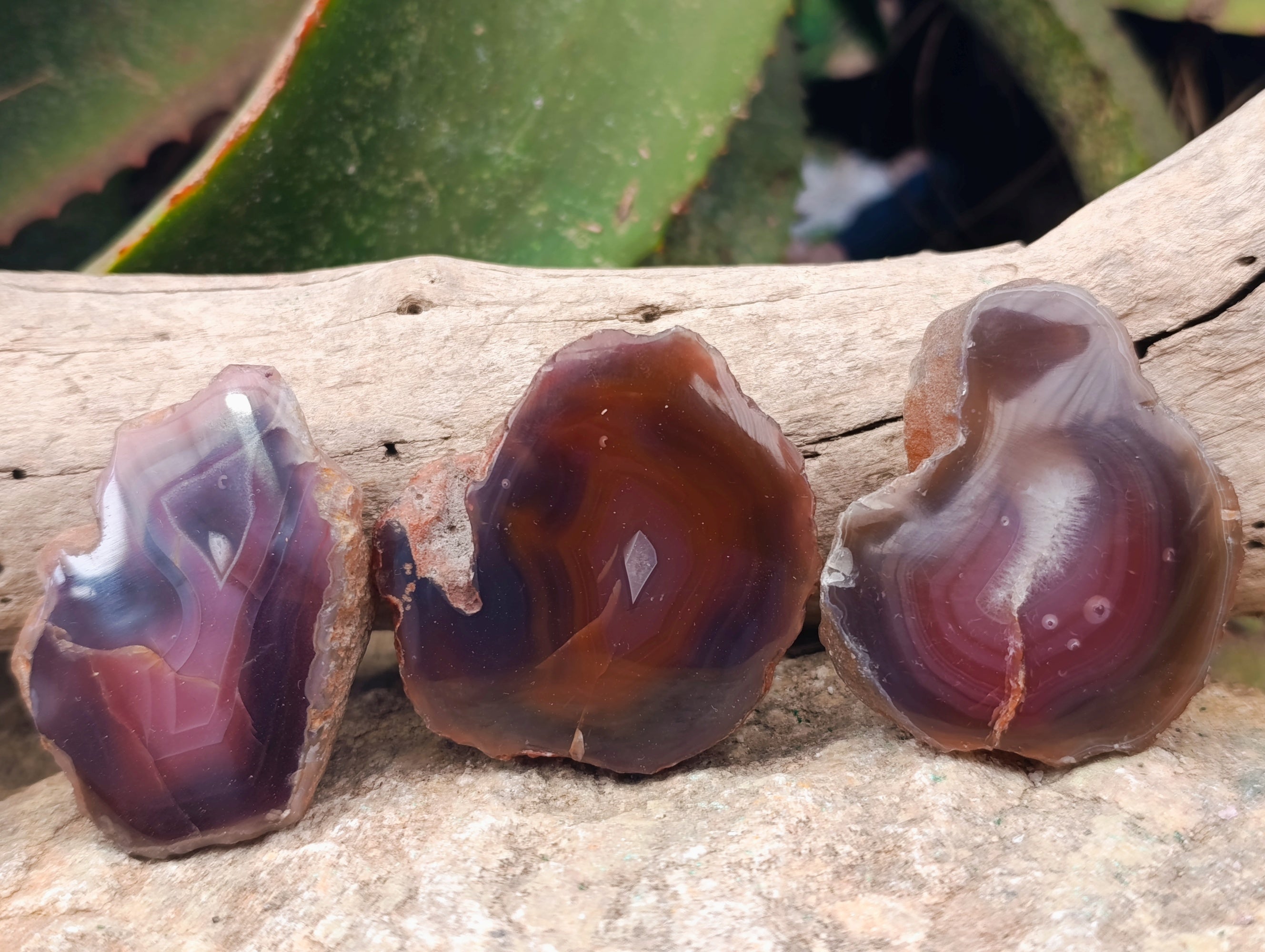 Polished On One Side Red Sashe River Agate Nodules x 20 From Zimbabwe - Toprock Gemstones and Minerals 