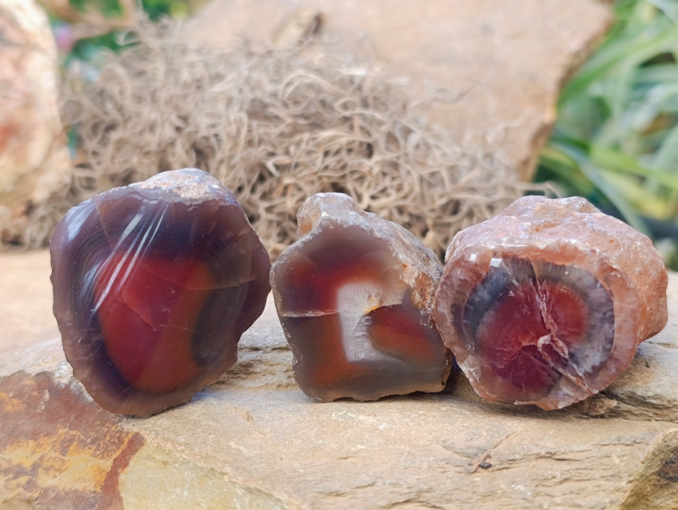 Polished On One Side Red Sashe River Agate Nodules x 20 From Zimbabwe - Toprock Gemstones and Minerals 