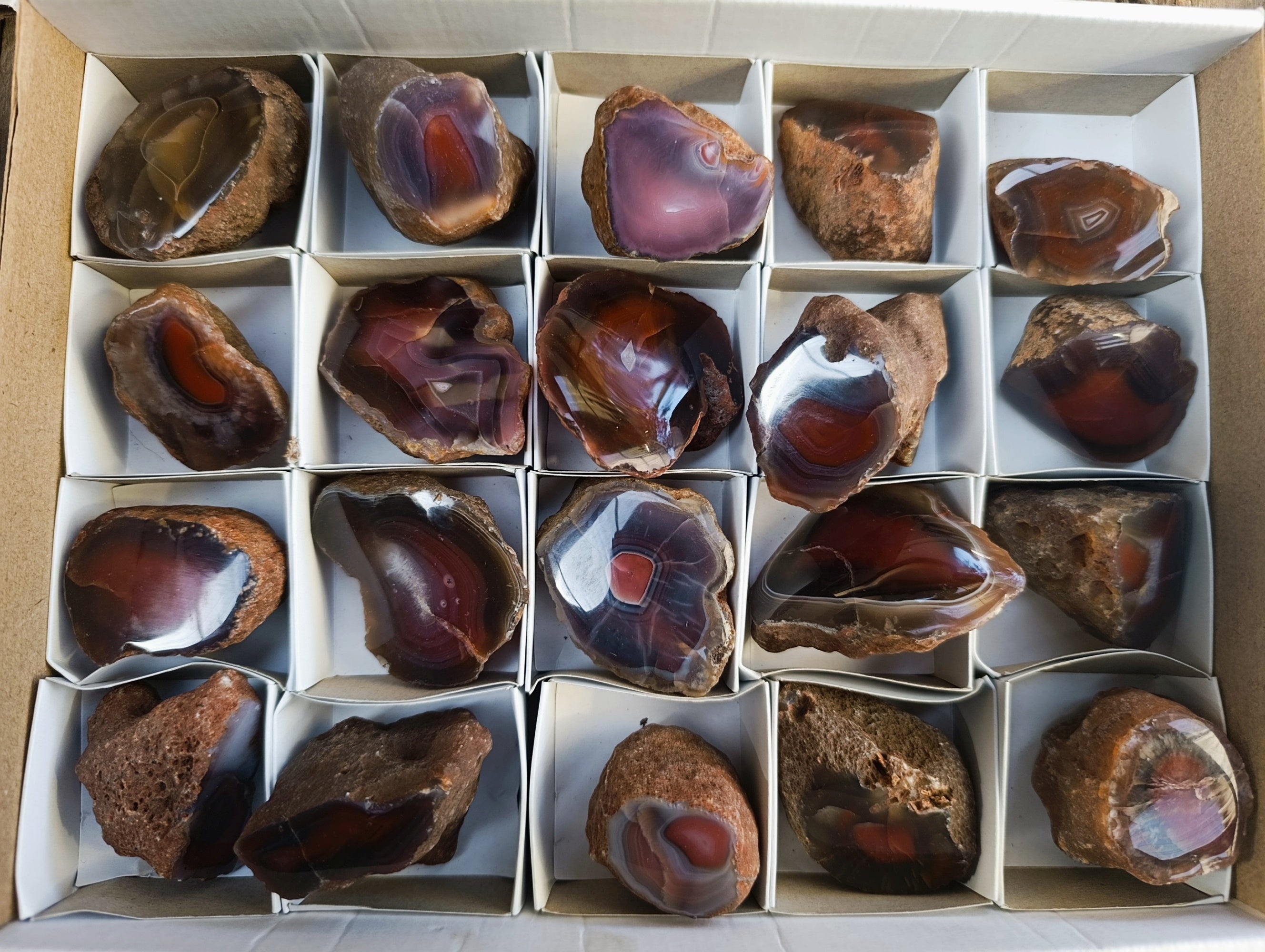 Polished On One Side Red Sashe River Agate Nodules x 20 From Zimbabwe - Toprock Gemstones and Minerals 