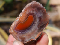 Polished On One Side Red Sashe River Agate Nodules x 20 From Zimbabwe - Toprock Gemstones and Minerals 