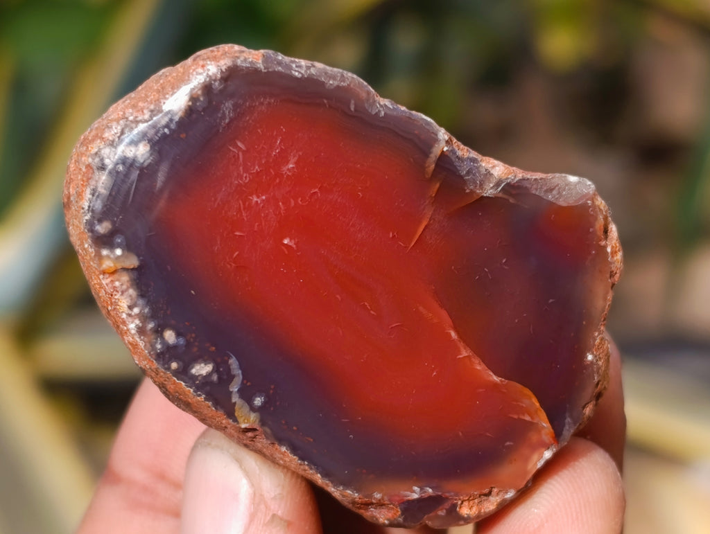 Polished On One Side Red Sashe River Agate Nodules x 20 From Zimbabwe - Toprock Gemstones and Minerals 