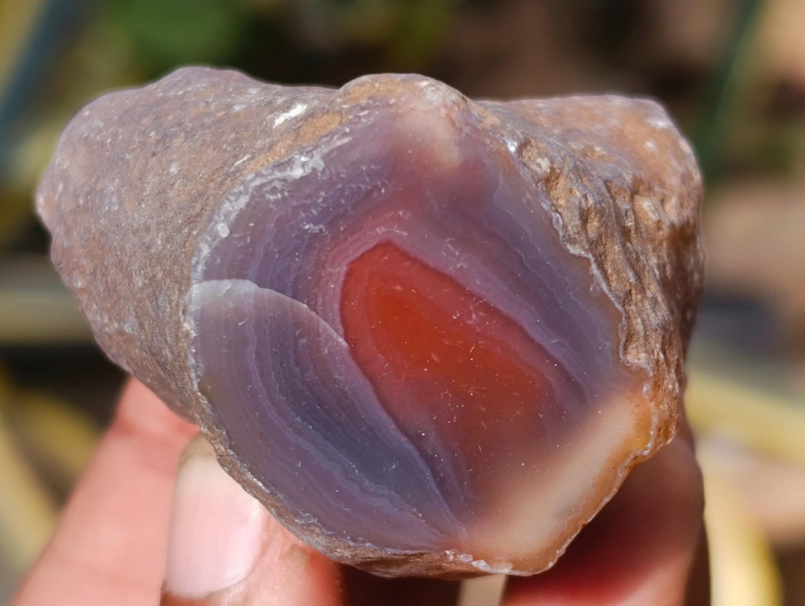 Polished On One Side Red Sashe River Agate Nodules x 20 From Zimbabwe - Toprock Gemstones and Minerals 
