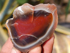 Polished On One Side Red Sashe River Agate Nodules x 20 From Zimbabwe - Toprock Gemstones and Minerals 