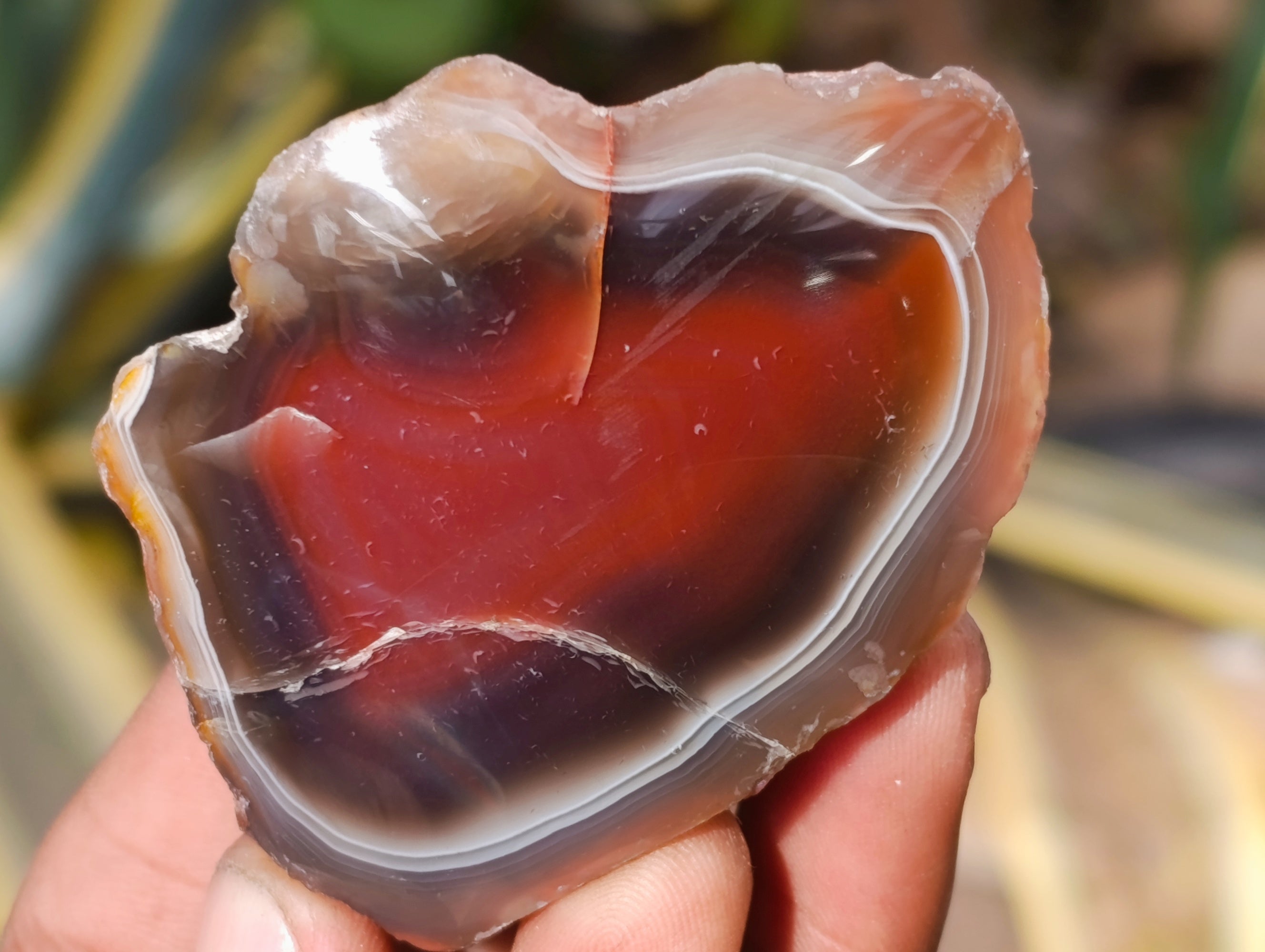 Polished On One Side Red Sashe River Agate Nodules x 20 From Zimbabwe - Toprock Gemstones and Minerals 