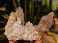 Natural Fairy Spirit Quartz Clusters x 6 From Boekenhouthoek, South Africa - Toprock Gemstones and Minerals 
