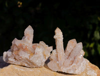 Natural Fairy Spirit Quartz Clusters x 6 From Boekenhouthoek, South Africa - Toprock Gemstones and Minerals 