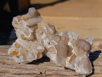 Natural Fairy Spirit Quartz Clusters x 6 From Boekenhouthoek, South Africa - Toprock Gemstones and Minerals 