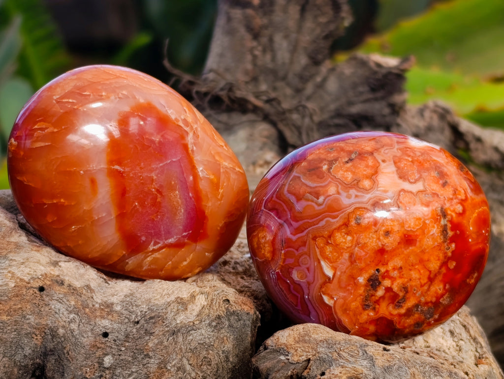 Polished Carnelian Palm Stones x 24 From Madagascar - Toprock Gemstones and Minerals 