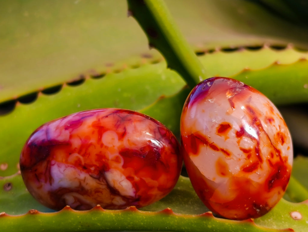 Polished Carnelian Palm Stones x 24 From Madagascar - Toprock Gemstones and Minerals 