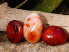 Polished Carnelian Palm Stones x 24 From Madagascar - Toprock Gemstones and Minerals 