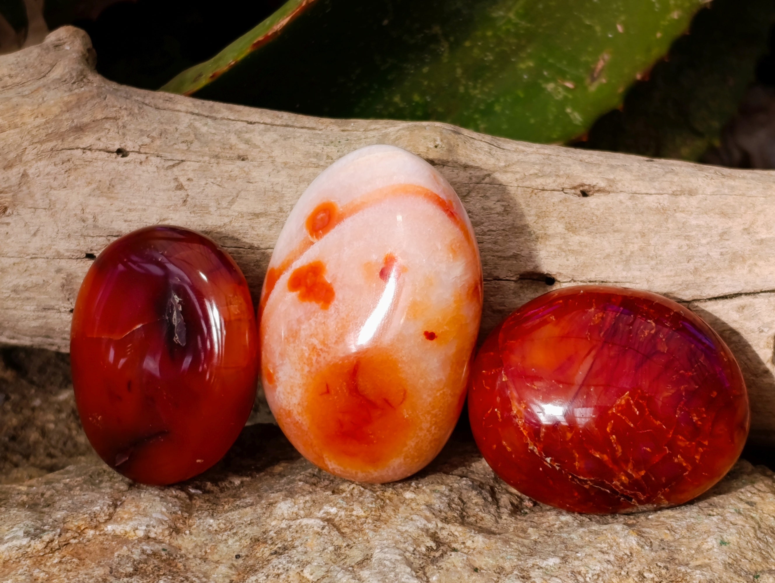 Polished Carnelian Palm Stones x 24 From Madagascar - Toprock Gemstones and Minerals 