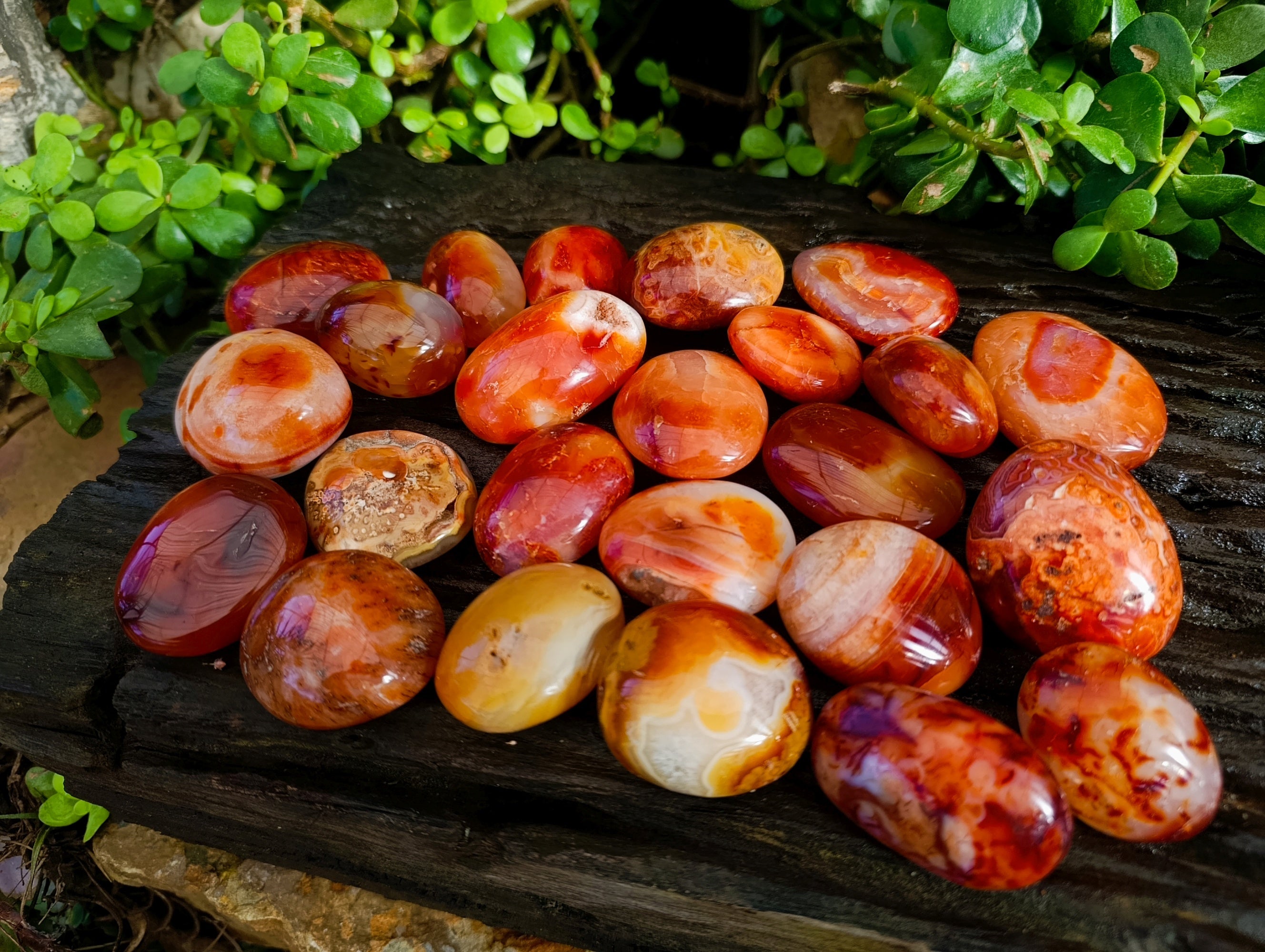 Polished Carnelian Palm Stones x 24 From Madagascar - Toprock Gemstones and Minerals 