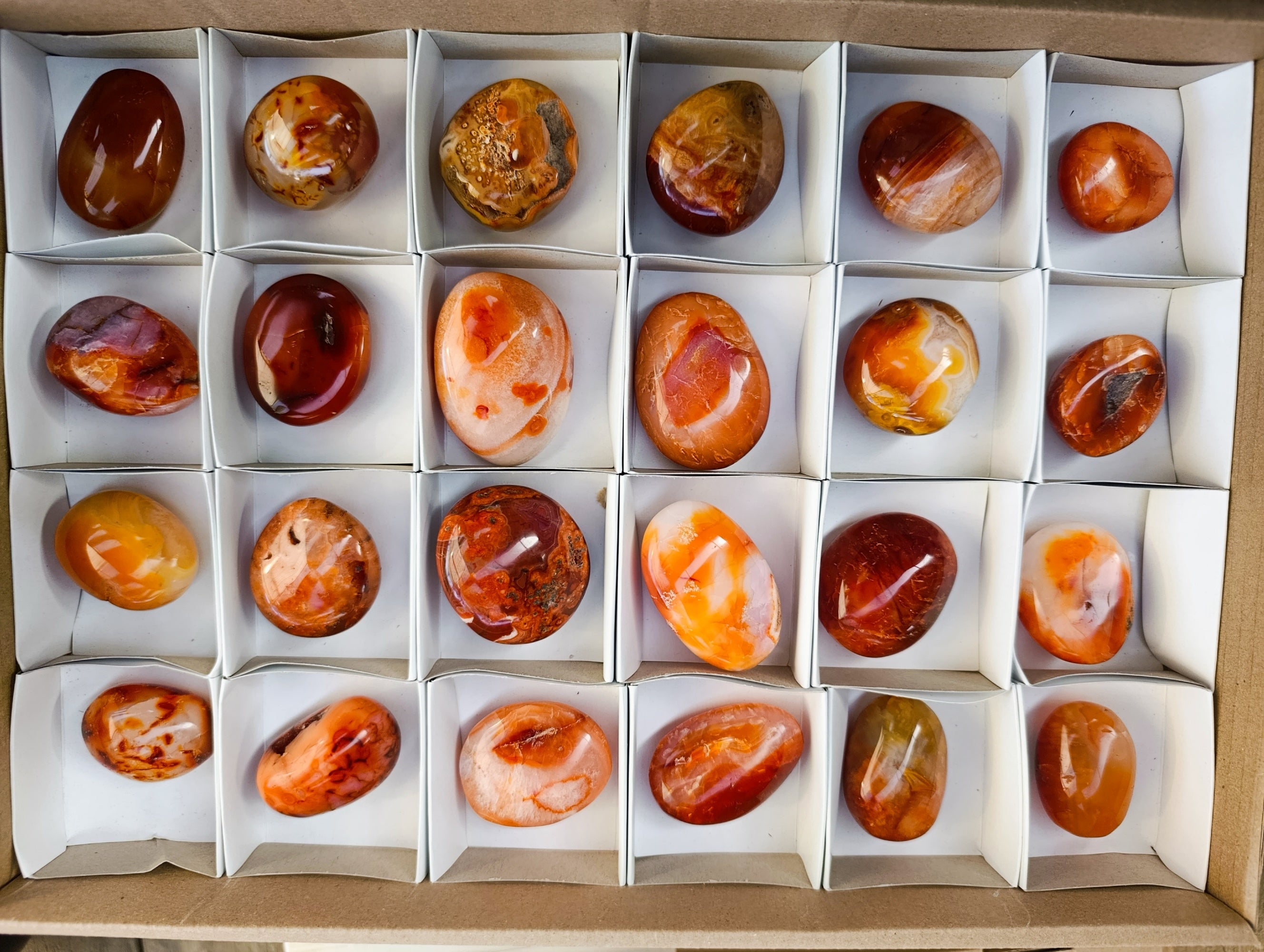 Polished Carnelian Palm Stones x 24 From Madagascar - Toprock Gemstones and Minerals 