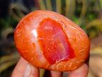 Polished Carnelian Palm Stones x 24 From Madagascar - Toprock Gemstones and Minerals 