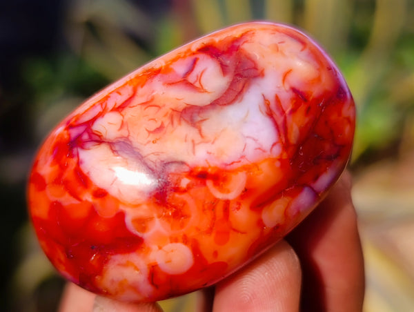 Polished Carnelian Palm Stones x 24 From Madagascar