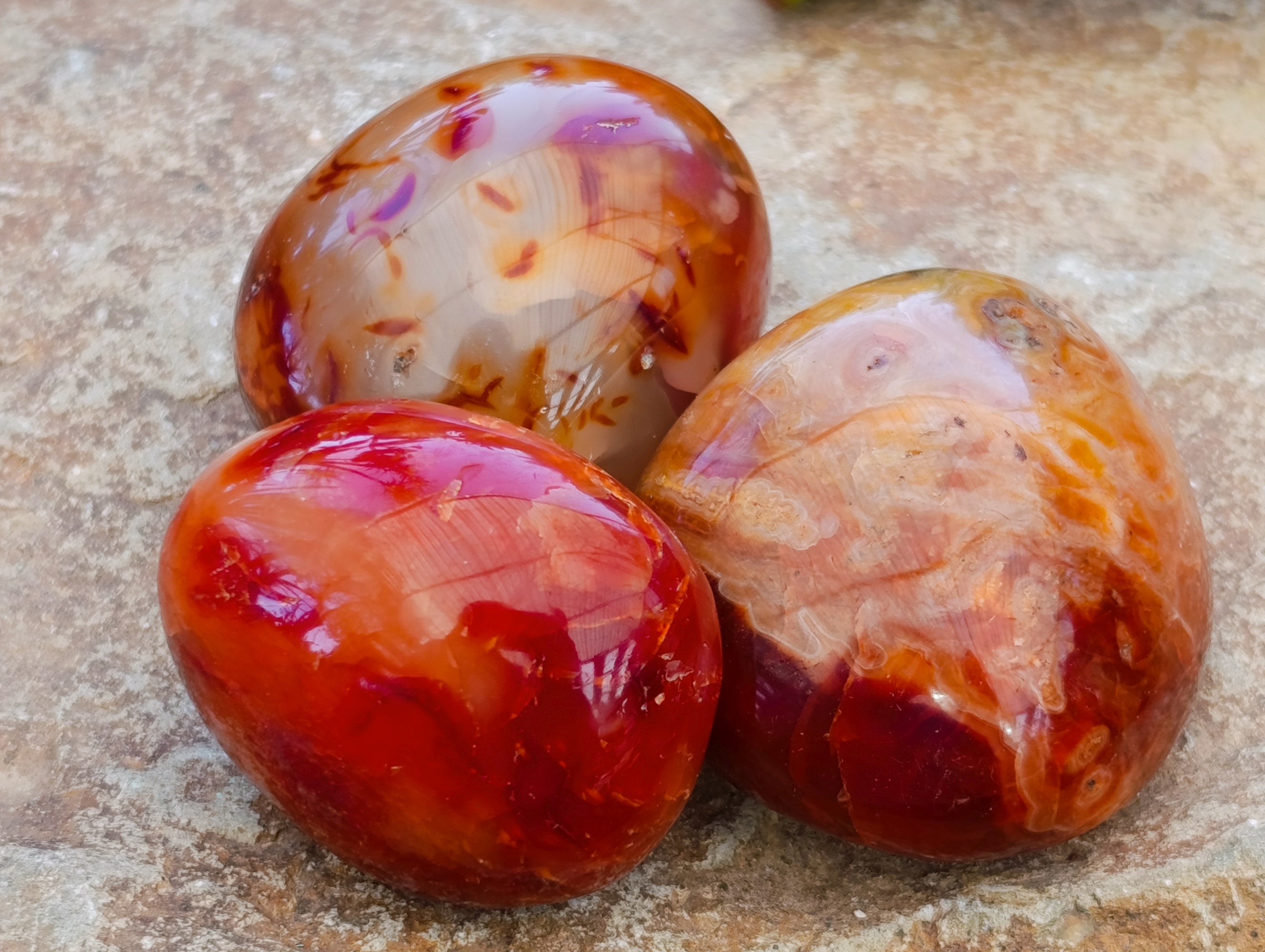 Polished Carnelian Palm Stones x 24 From Madagascar - Toprock Gemstones and Minerals 
