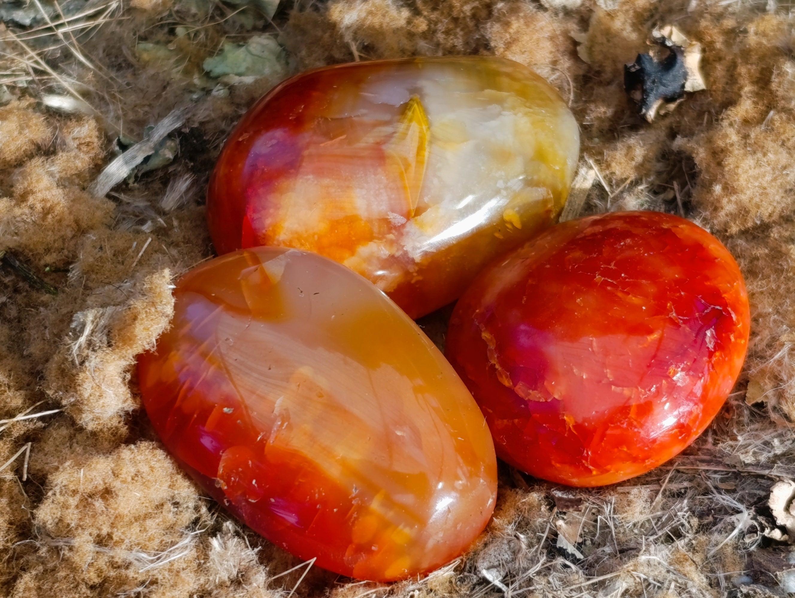 Polished Carnelian Palm Stones x 24 From Madagascar - Toprock Gemstones and Minerals 