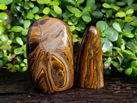 Polished Tiger's Eye Standing Free Forms x 2 From Prieska, South Africa - Toprock Gemstones and Minerals 