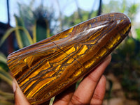 Polished Tiger's Eye Standing Free Forms x 2 From Prieska, South Africa - Toprock Gemstones and Minerals 
