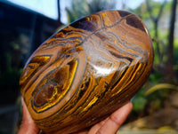 Polished Tiger's Eye Standing Free Forms x 2 From Prieska, South Africa - Toprock Gemstones and Minerals 