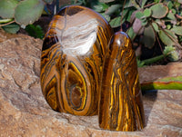 Polished Tiger's Eye Standing Free Forms x 2 From Prieska, South Africa - Toprock Gemstones and Minerals 