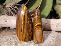 Polished Tiger's Eye Standing Free Forms x 2 From Prieska, South Africa - Toprock Gemstones and Minerals 