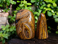 Polished Tiger's Eye Standing Free Forms x 2 From Prieska, South Africa - Toprock Gemstones and Minerals 