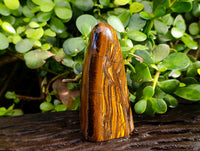Polished Tiger's Eye Standing Free Forms x 2 From Prieska, South Africa - Toprock Gemstones and Minerals 